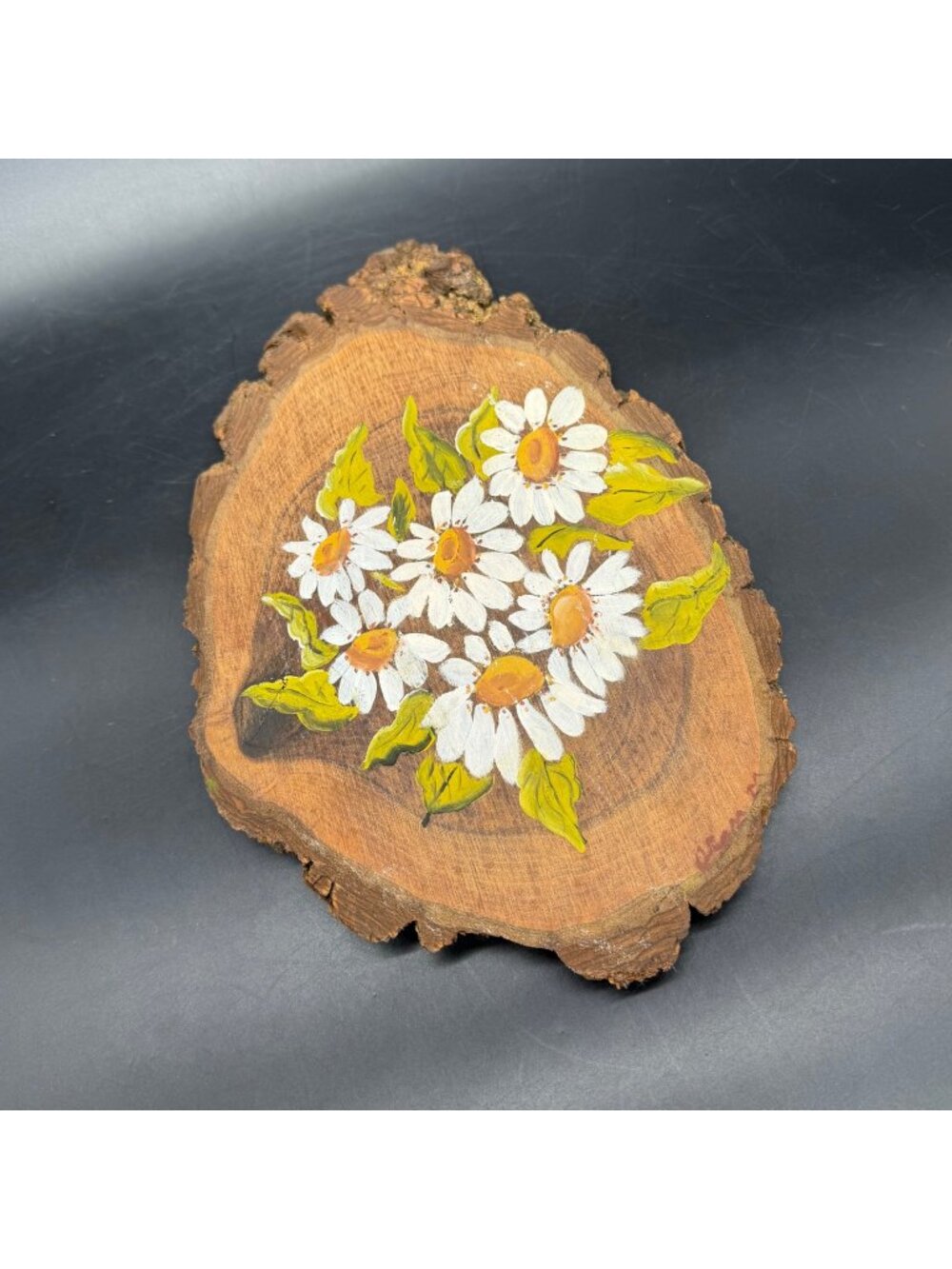 Hand Painted Daisies On Live Edge Wood Slice Rustic Decor White Flowers Vintage